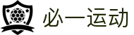 必一·运动(B-Sports)官方网站